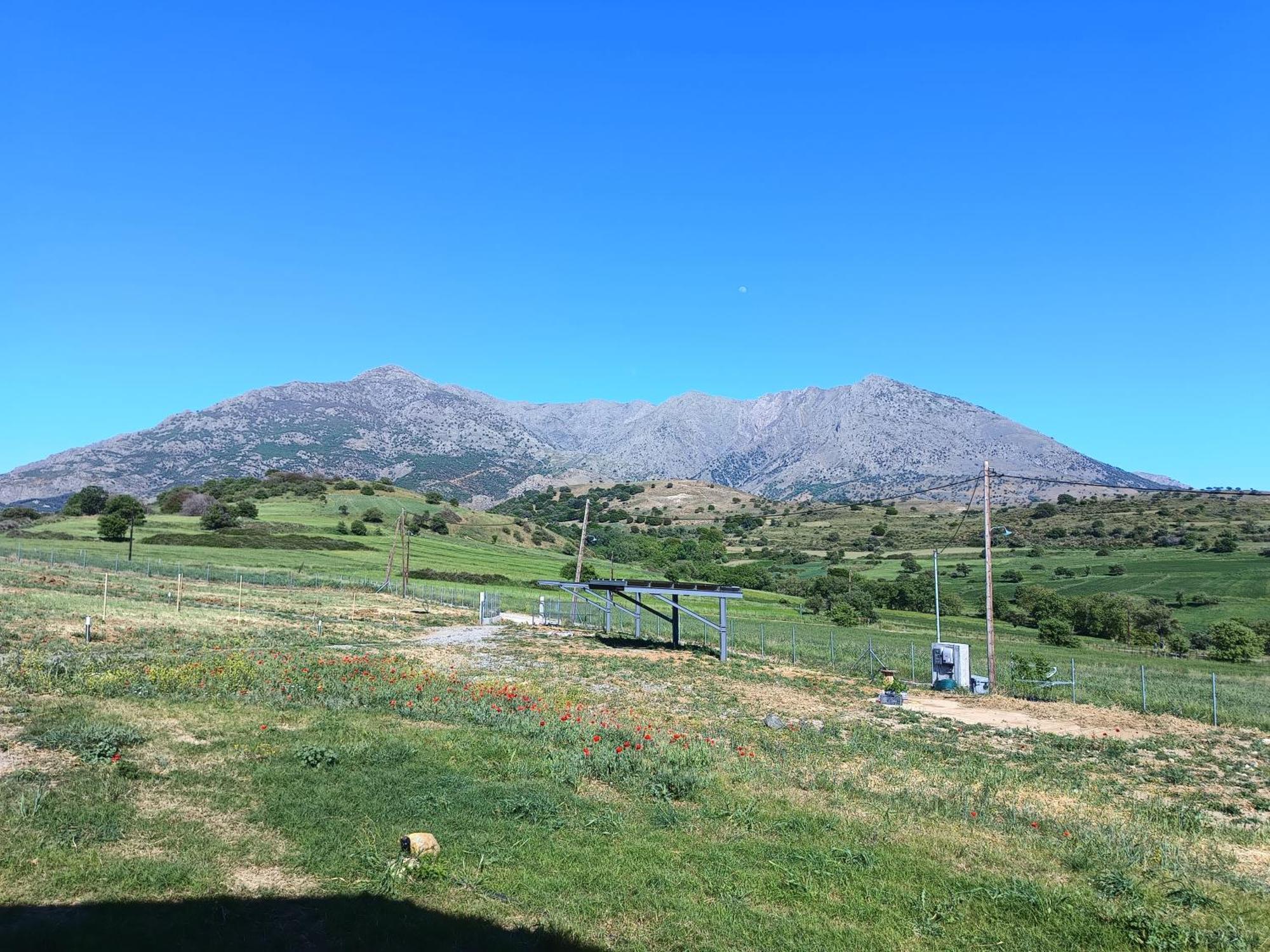 Pezoulia Cottages Samothraki Exterior photo
